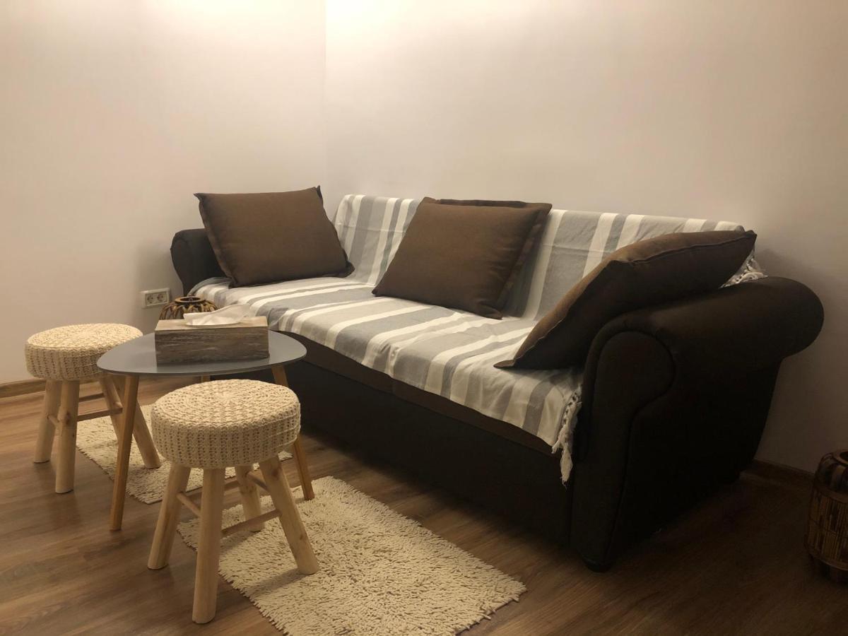 Cozy Central Apartment 布拉索夫 外观 照片