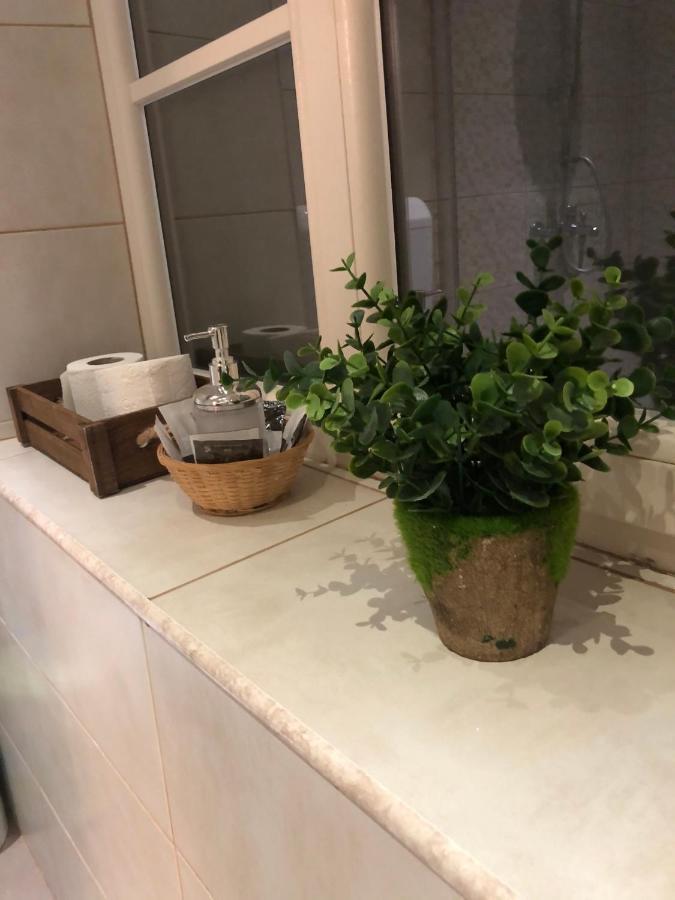 Cozy Central Apartment 布拉索夫 外观 照片