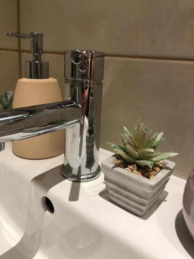 Cozy Central Apartment 布拉索夫 外观 照片